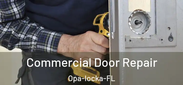  Commercial Door Repair Opa-locka-FL