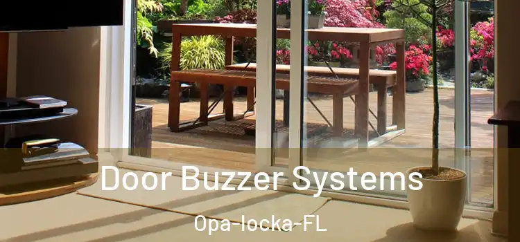  Door Buzzer Systems Opa-locka-FL