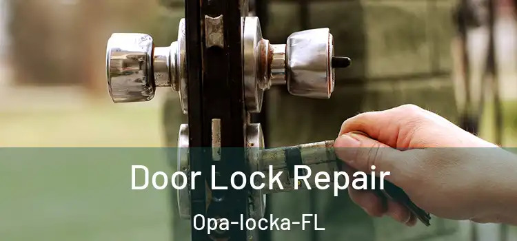  Door Lock Repair Opa-locka-FL