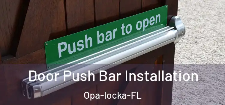  Door Push Bar Installation Opa-locka-FL