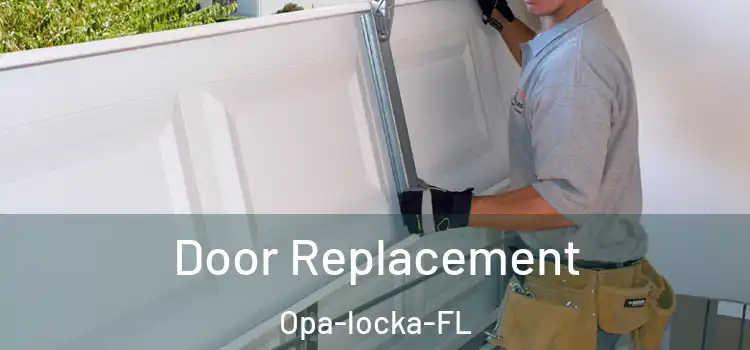  Door Replacement Opa-locka-FL
