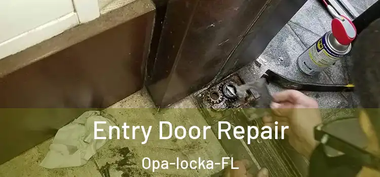  Entry Door Repair Opa-locka-FL