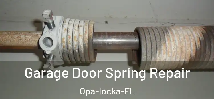  Garage Door Spring Repair Opa-locka-FL