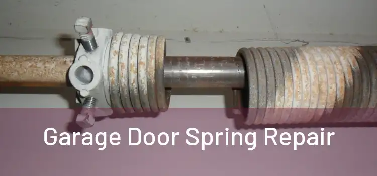  Garage Door Spring Repair 