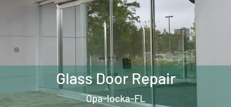 Glass Door Repair Opa-locka-FL