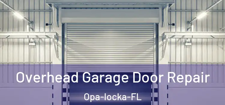  Overhead Garage Door Repair Opa-locka-FL