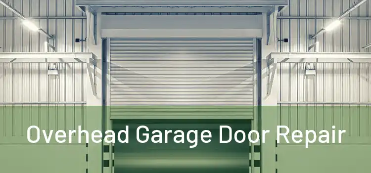  Overhead Garage Door Repair 
